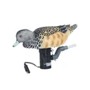 AVERY GHG Finisher Swimmer Wigeon Hen Decoy (78005) - Avery