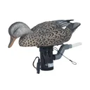 AVERY GHG Finisher Swimmer Gadwall Hen Decoy (78007) - Avery