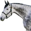 KENSINGTON PROTECTIVE PRODUCTS Premium Nylon Halter (KHS) - Kensington Protective Products
