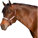 KENSINGTON PROTECTIVE PRODUCTS Premium Nylon Halter (KHS) - Kensington Protective Products
