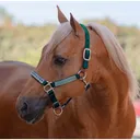 KENSINGTON Premium Nylon Breakaway Halter (KHSB) - Kensington Protective Products
