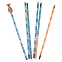 BACKCOUNTRY ACCESS Stealth 240 Blue Avalanche Probe (C2005001010) - Backcountry Access