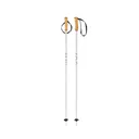 HEAD Junior Joy Grey/White Ski Poles (381765) - Head