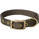 DRAKE Team Gun Dog Adjustable Webbed Collar (GD0073) - Drake