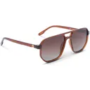 OPTIC NERVE Unisex Wonderspoon Shiny Crystal Brown Frame with Polarized Brown Lens Sunglasses (22776) - Optic Nerve
