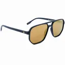 OPTIC NERVE Unisex Wonderspoon Matte Black Frame with Polarized Brown Lens Gold Mirror Sunglasses (22832) - Optic Nerve