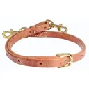 PROFESSIONAL'S CHOICE Harness Leather Tie Down Strap with Brass Snaps (8056B) - Professional's Choice