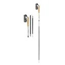 LEKI Neotrail Pro FX.One SL Warm Gray Light/Warm Gray Dark/Black Trekking Poles (65625893) - Leki