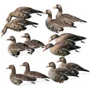 AVERY FFD Elite Specklebelly Silhouette Decoys (77018) - Avery
