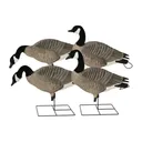 AVERY 4-Pack Pro Grade XD Full Body Canada Harvester Decoys (71563) - Avery