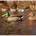 AVERY GHG Essential Series Magnum Mallard Decoys, 6-Pack (70002) - Avery