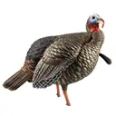 Avian X HDR Jake Turkey Decoy - Avian-X