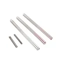 Nighthawk Custom 1911 Spring Kit Government in .45 - Nighthawk Custom