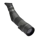 Leupold SX-4 Pro Guide HD Gen 2 15-45x65mm Angled - Spotting Scope - Leupold