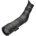 Leupold SX-2 Alpine HD Gen 2 20-60x60mm Angled - Spotting Scope - Leupold