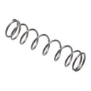 Evolve Weapons Systems AR-15 Magazine Catch Spring - Evolve Weapons Systems