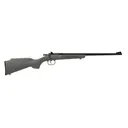 Keystone Sporting Arms Crickett 22LR Bolt Action Rimfire Rifle - 16.125" - Blue - 1 Round - Keystone Sporting Arms