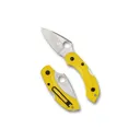 Spyderco Dragonfly 2 Salt Folding Knife - Spyderco