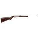 Browning Semi-Auto 22 Rifle 22 LR - 19.375" - Blue - Browning
