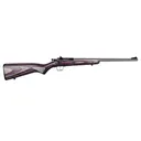 Keystone Sporting Arms Crickett Rifle 22 LR - 16" - Stainless - Keystone Sporting Arms