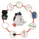 Portable Winch Co. PCW5000-HK Portable Gas-powered Winch Hunting Kit - Portable Winch