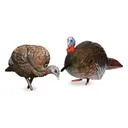 Avian-X LCD Jake and Hen Combo Turkey Decoys - Avian-X