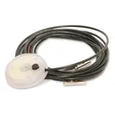 Clam LED Hub Light - Clam