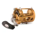 PENN International(R) VI Reel - Penn