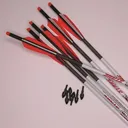 Demon Hunter 6pk Arrow Crossbow Bolts - Demon Hunter