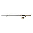 Daiwa Revros LT Spinning Combo - Daiwa
