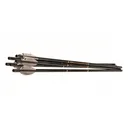 Benjamin Airbow M Series Arrows - Benjamin