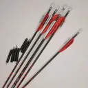 Demon Hunter Arrows - 6 Pack - Demon Hunter