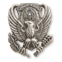 U.S. Air Force ROTC Military Surplus Pins 20 Pack - Sportsman's Guide