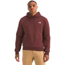 The North Face Evolution Simple Dome Hoodie - The North Face