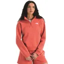 The North Face Women's Evolution Simple Dome Quarter Zip Pullover - The North Face