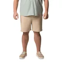 Columbia Terminal Roamer Stretch Shorts - Columbia