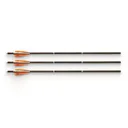 Guide Gear Trophy Hunter Bolt 20" 3 Pack - Guide Gear