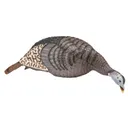 HUNTERS SPECIALTIES Strut-Lite Feeder Hen Turkey Decoy - Hunters Specialties