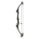 GENESIS ARCHERY Original RH Ash - Genesis Archery