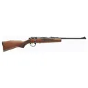 MARLIN XT-22 22 LR 16.25IN 1RD BLUE C - Marlin Firearms