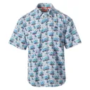 FIELDSTONE POINTER BUTTON DOWN - Fieldstone