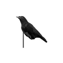 EDGE CAWLIN CROW DECOY FLOCKED - Edge