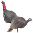 CARRY-LITE EASY FOLD DECOY PAIR (JAKE, FE - Carry-Lite
