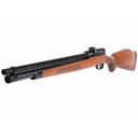 WINCHESTER Winchester Big Bore Air Rifle Model 70 - Winchester