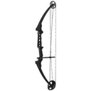 GENESIS ARCHERY 17 Gen X X-Dawn Bow Black Right Hand - Genesis