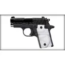 SIG SAUER P238 380ACP ENGrAVED White GrP - Sig Sauer