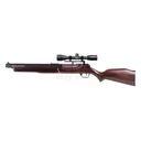 BENJAMIN 392 Combo, 4x32mm Scope - Benjamin