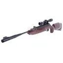 UMAREX Forge Combo .177 Cal Wood Stock with 4x32 Scope - Umarex