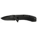KERSHAW KNIVES Cryo II 3.25" Blackwash, 410 Handle Assisted Open - Kershaw Knives