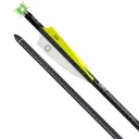 TENPOINT EVO-X CenterPunch Alpha-Blaze Carbon Arrows 20" - TenPoint